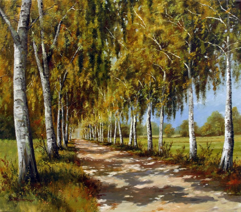 Birch Tree Alley