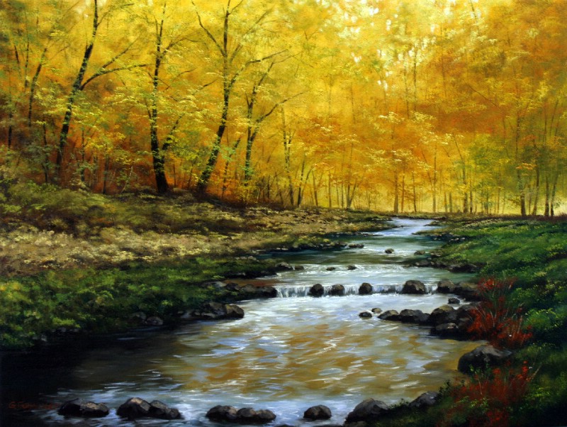 Creek Through The Forest