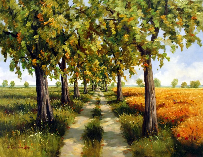 Summer Walk