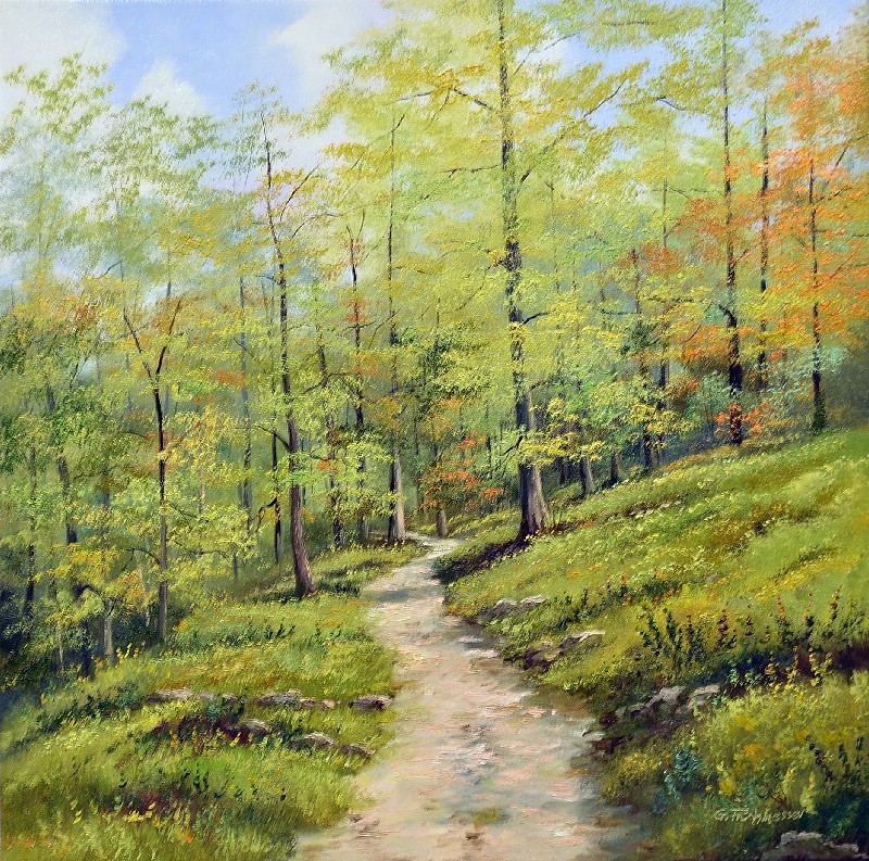 My Favorit Walk In The Forrest