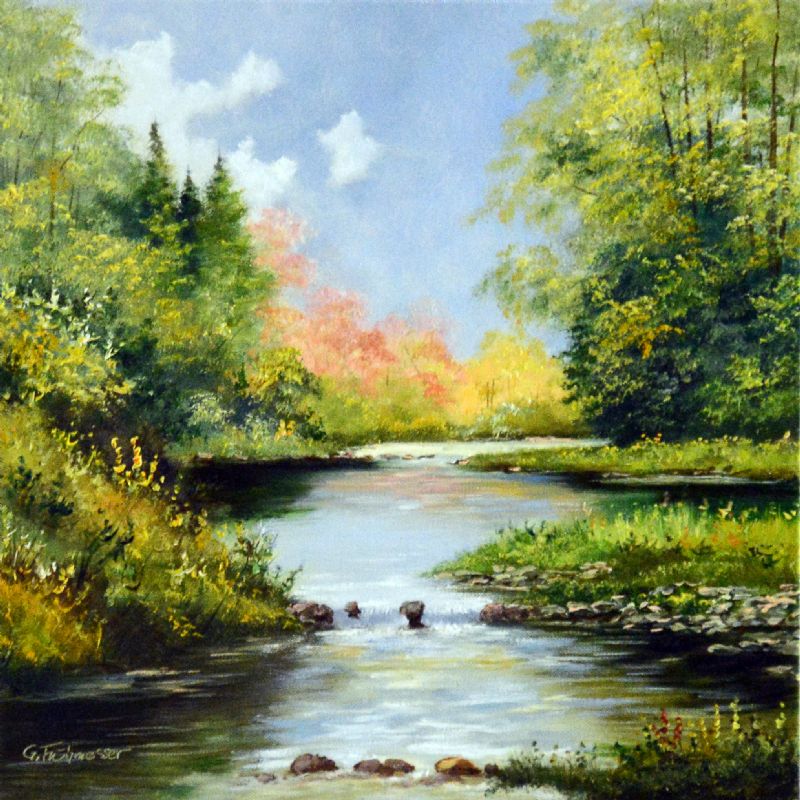 Path Trough The Forrest Creek