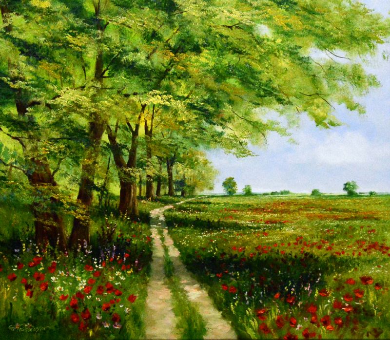 Pathway In Summer