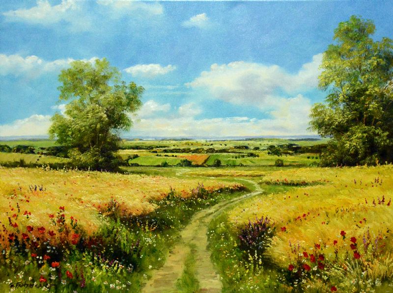 Country View Over RapsFields