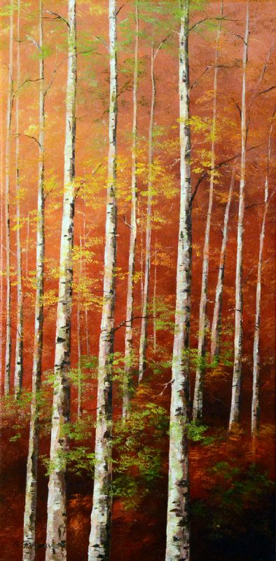 Birch Trees