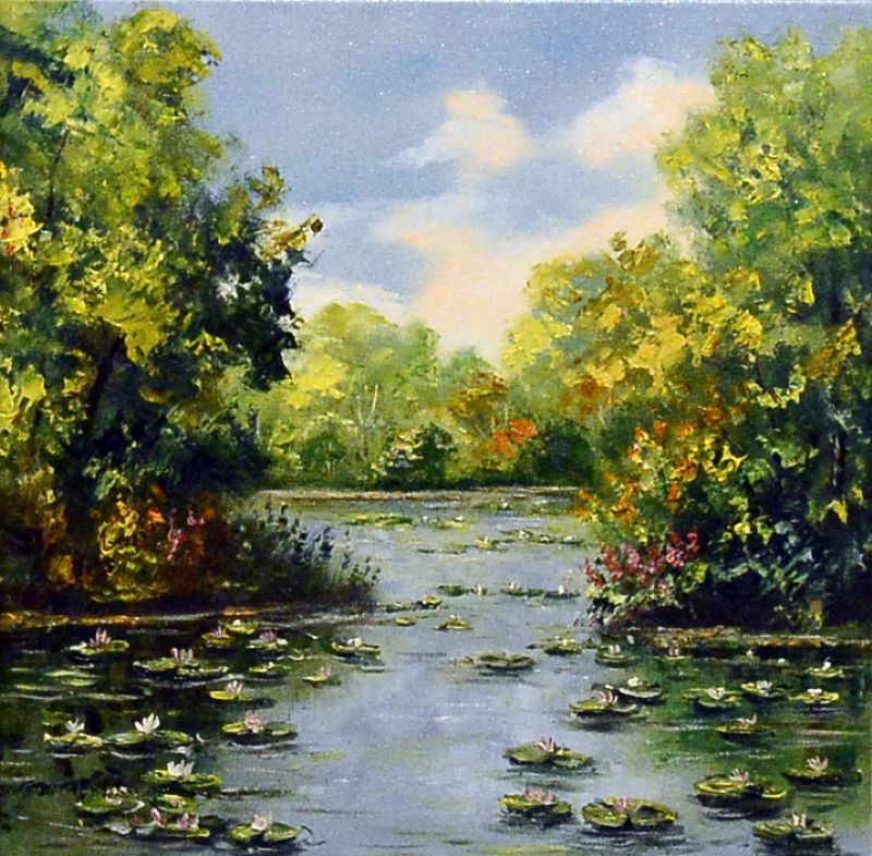 Our Water Lilly Pond