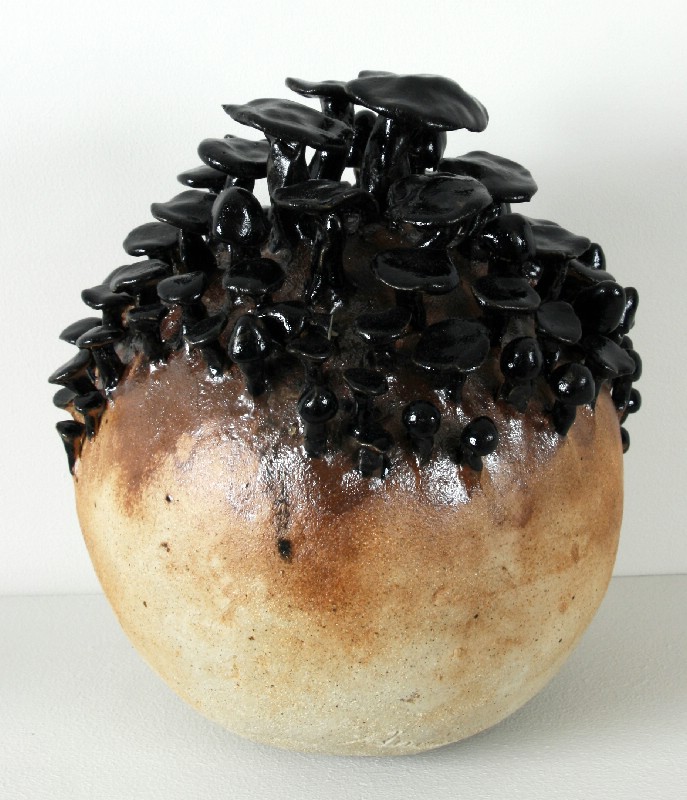 Klode - Sorte svampe