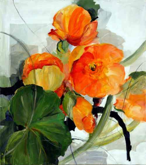 Begonia