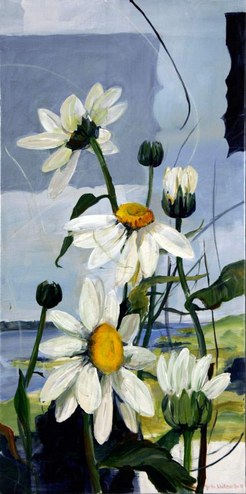 Margueritter i landskab