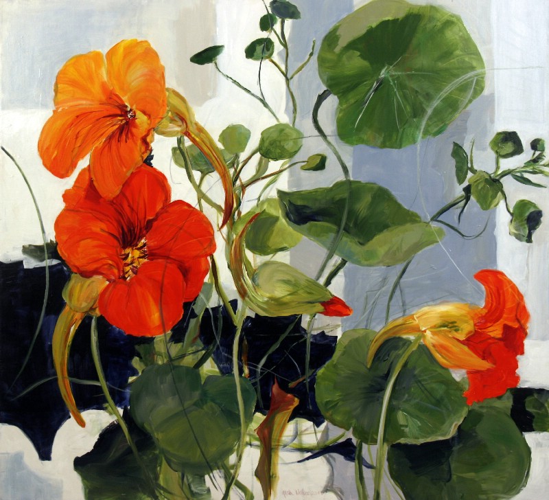 Nasturtium