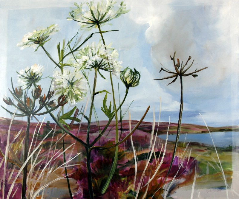 Skærmplanter på heden