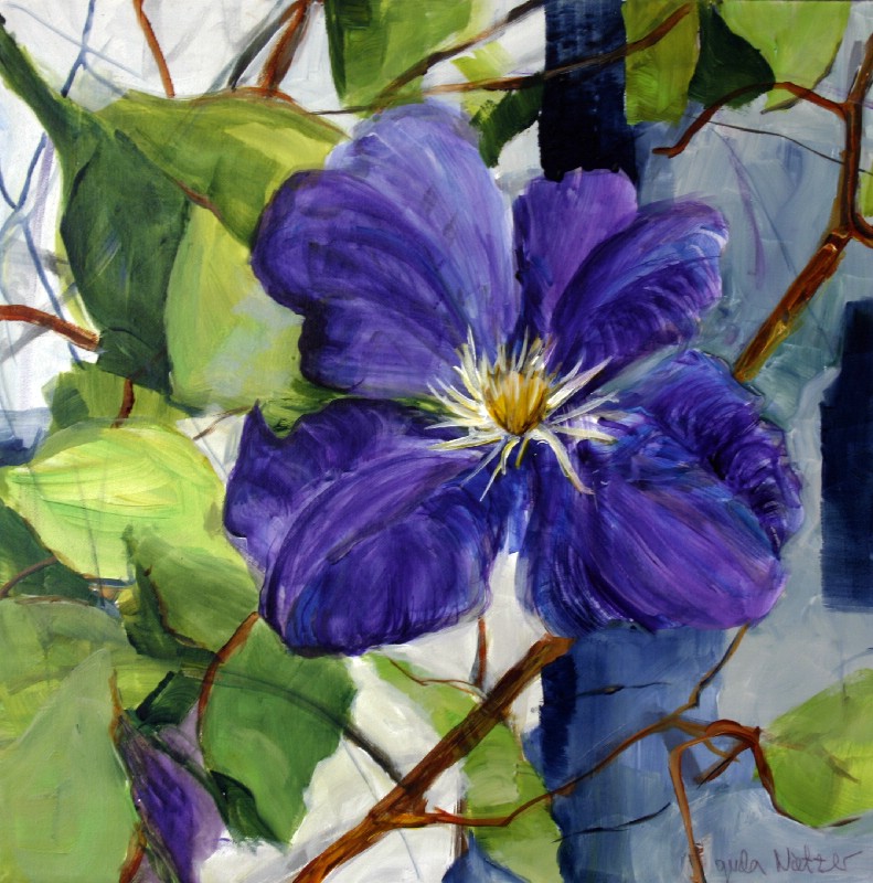 Blå Klematis