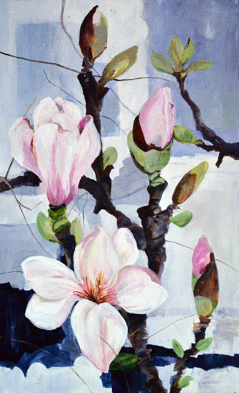 Magnolie