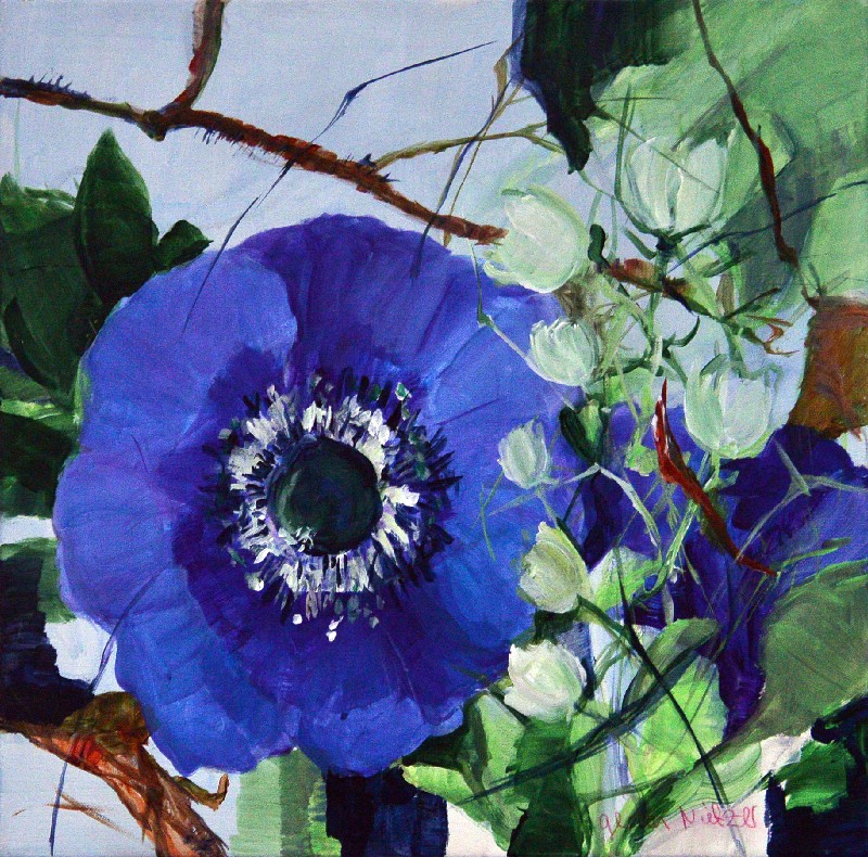 Blå anemone