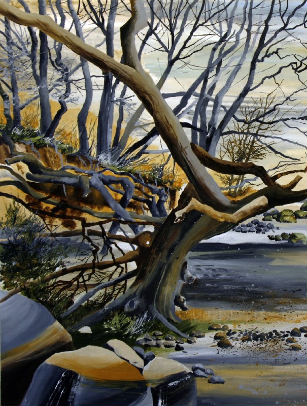 Træer ved skovkanten