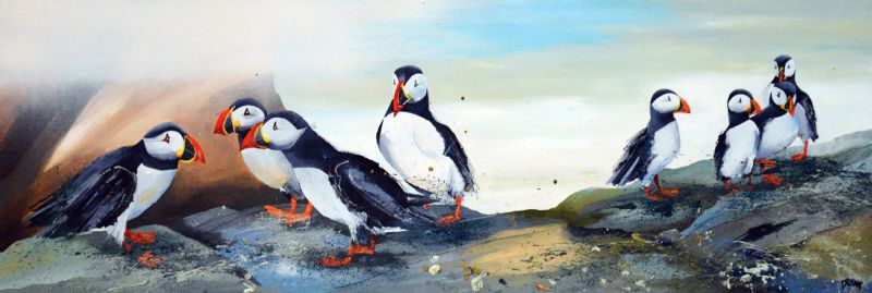 Atlantic Puffins