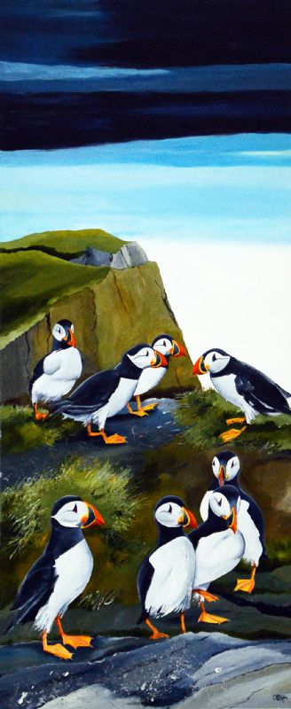Puffin Colony