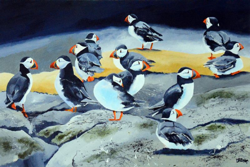 Atlantic Puffins II