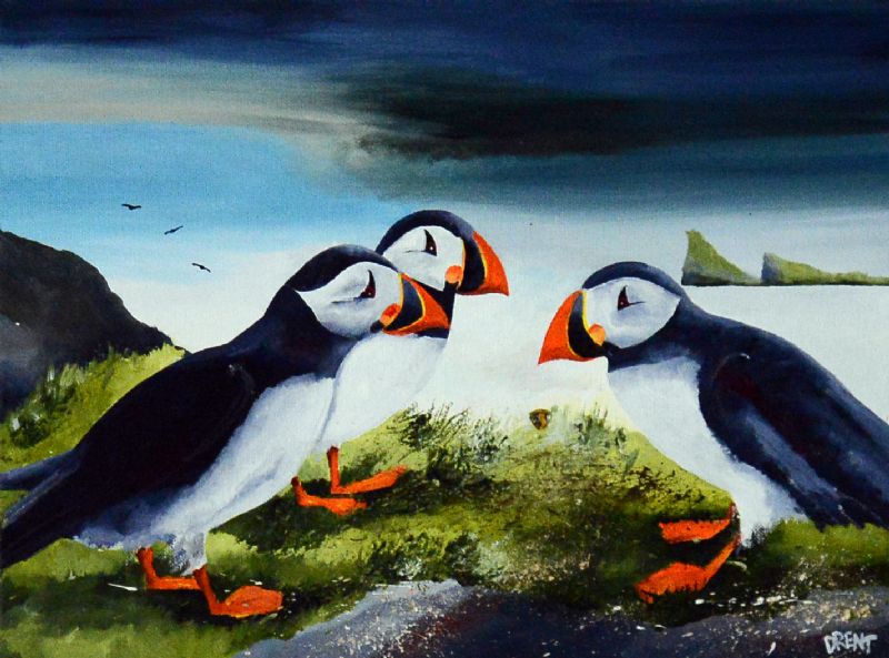 Pacific Puffins