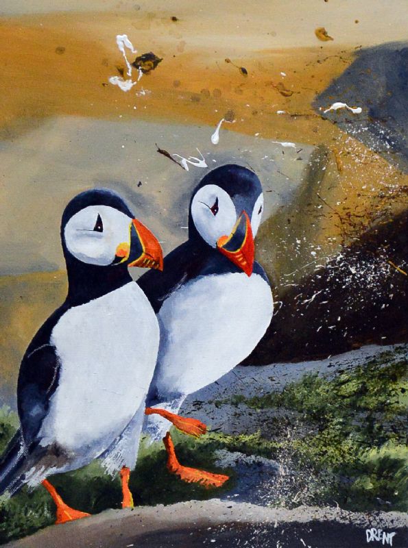 Two Puffins