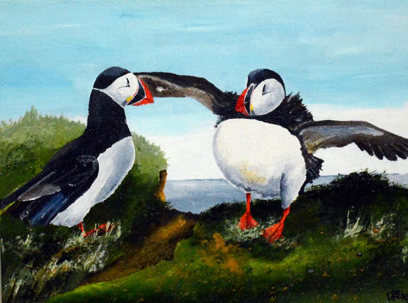 Ynglende søpapegøjer