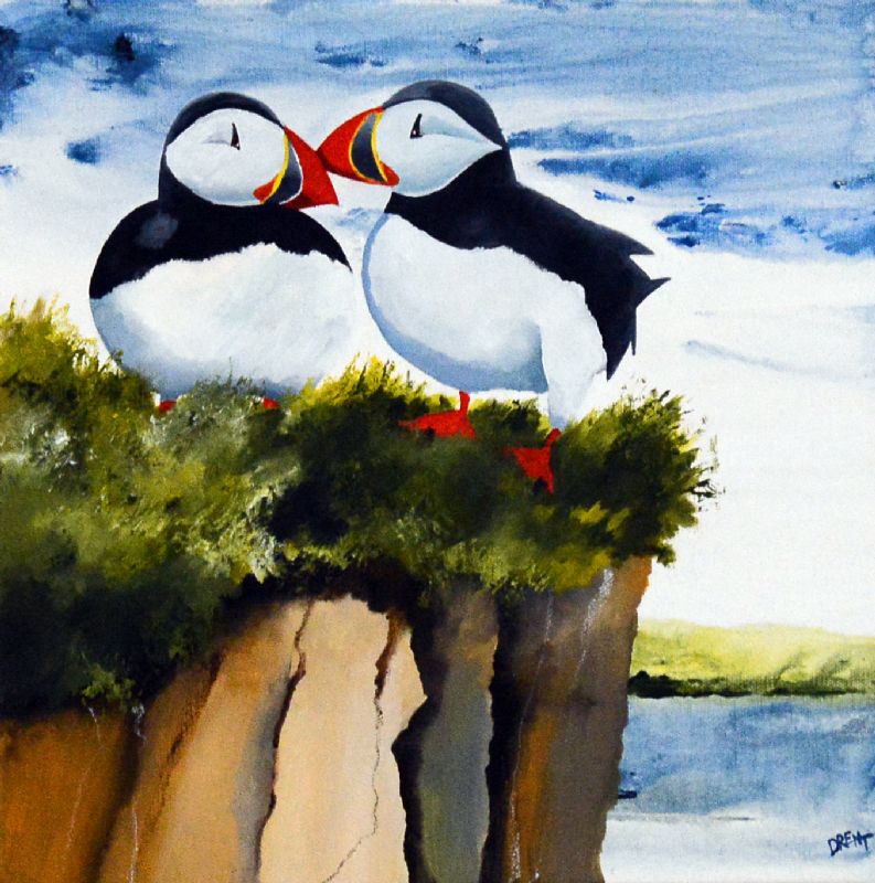 Fratercula Artica II