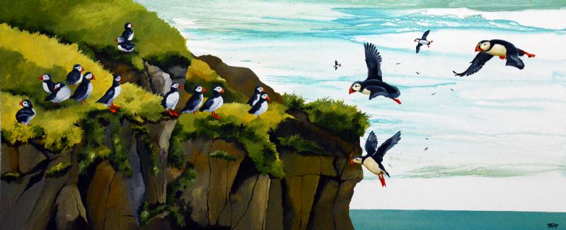Puffin Club