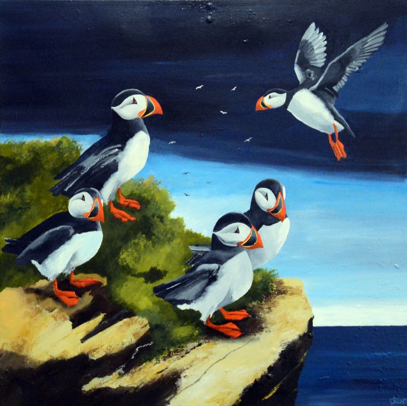Puffin Society III