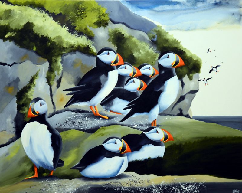 Puffins Society II