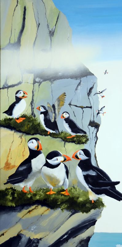 Nordic Puffins