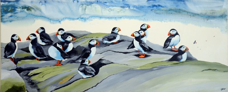 Puffin`s Sociaty III