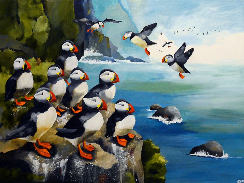 Colourful Birds