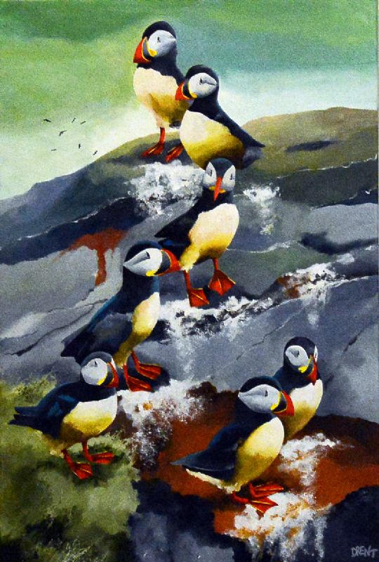 Puffin Club III