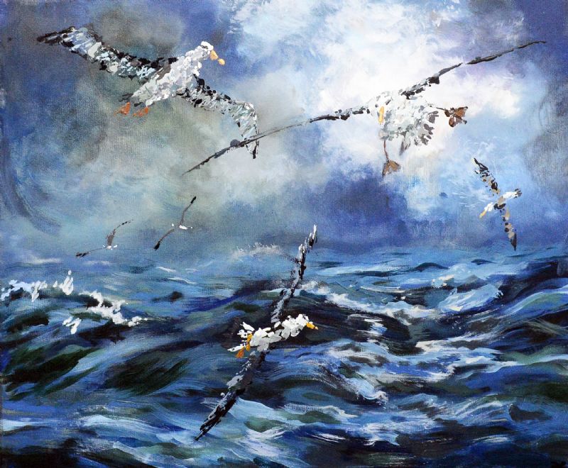 Albatrosser i modvind