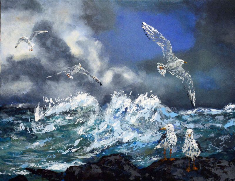 Havfugle i blæsevejr