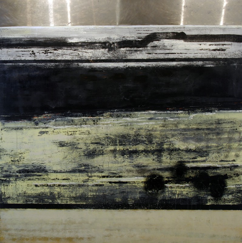 Naturbeskrivelse II - Færøerne