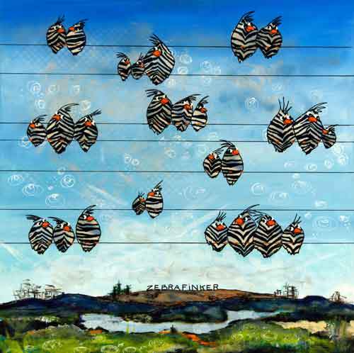 Cebrafinker