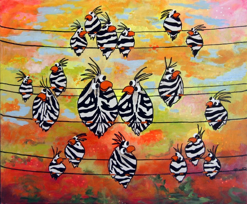 Undslupne Zebrafinker