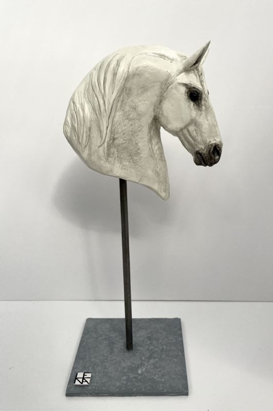 White Dream