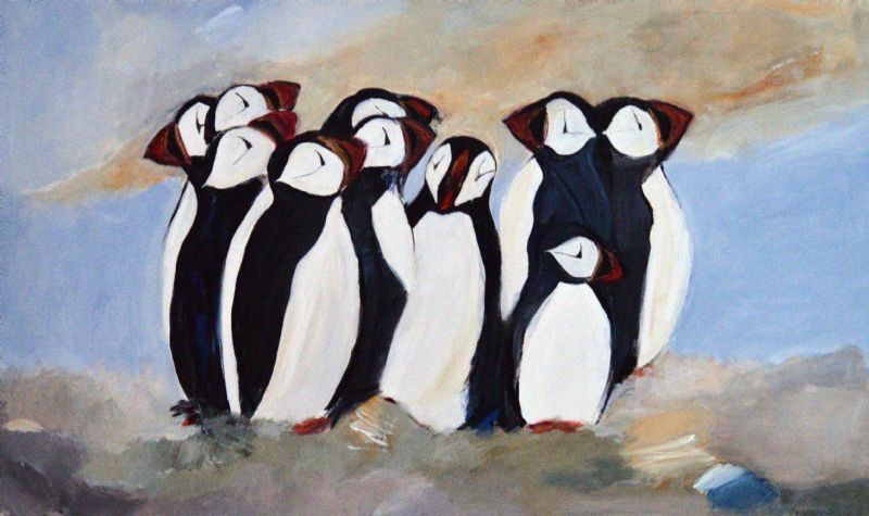 Lunder - Søpapegøjer - Puffin Bird