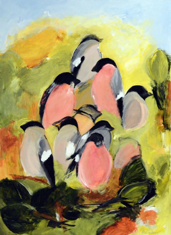 Smukke gæster i haven