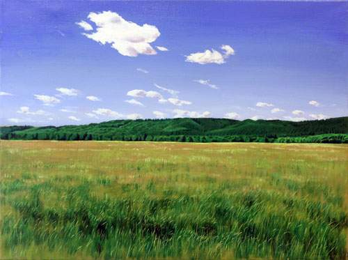 Den gamle flyveplads ved Gl. Rye