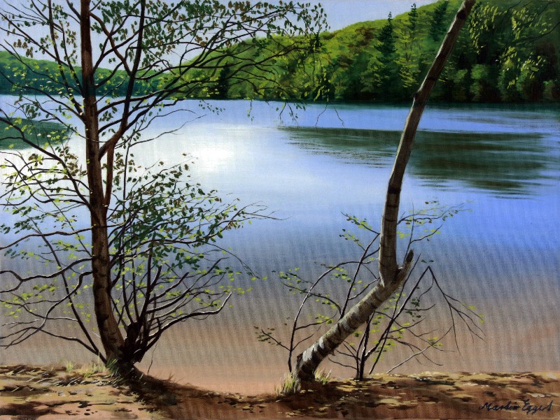 Spring At Forrest Lake