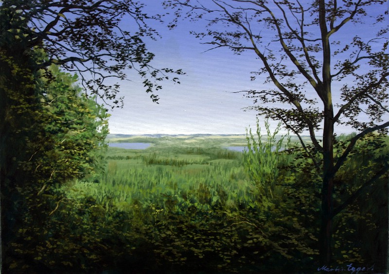 Udsigten ved Himmelbjerget