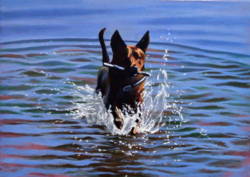 Hund i vand