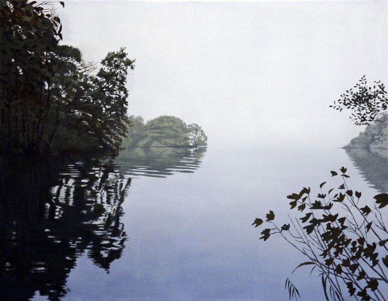 Kaninøen ved Ry i tåge