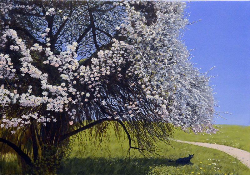 &AElig;bletræer i blomst