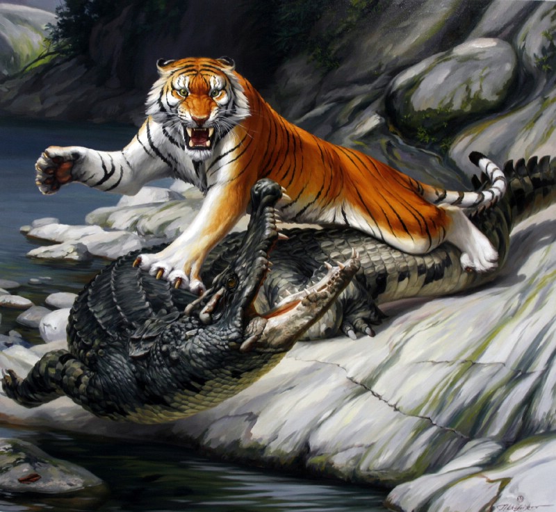 Tiger Attack