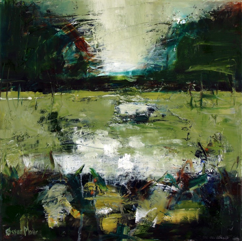 Våren i aprillys i april - Færøerne