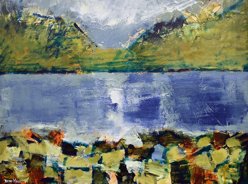 Tidlig sommer - Færøerne