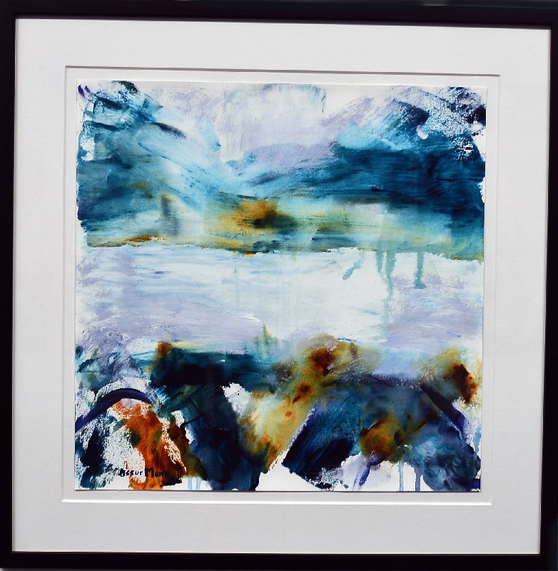 Færøerne - bag glas